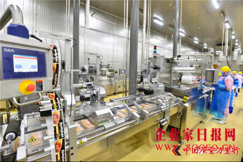 雙匯發展 完善產業布局，增強核心競爭力，攜手鄭州軟件推動產業升級